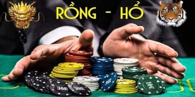Tham gia cược bài rồng hổ nhà cái Ku88 đơn giản