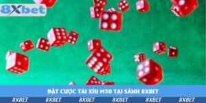 dat-cuoc-tai-xiu-m30-tai-sanh-KU88