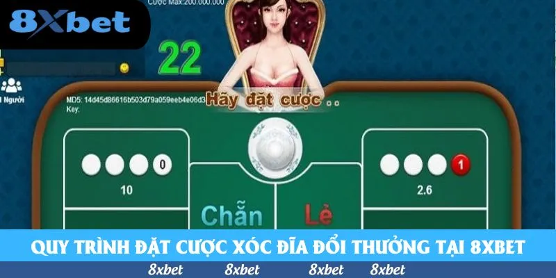 Quy trình đặt cược xóc đĩa đổi thưởng tại KU88